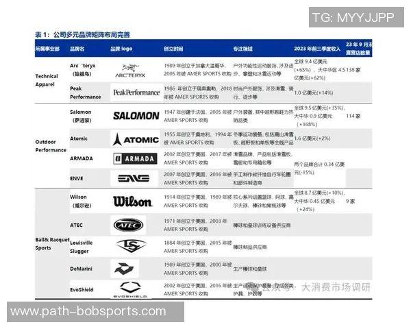 2023年亚玛芬体育品牌排行榜揭晓最受欢迎品牌及其市场表现分析